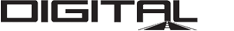 Digital Fuel Solutions